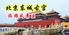 在线播放破处视频高清中国北京-东城古宫旅游风景区